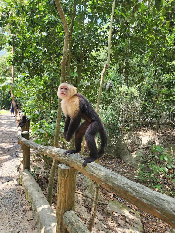 Gumbalimba Park