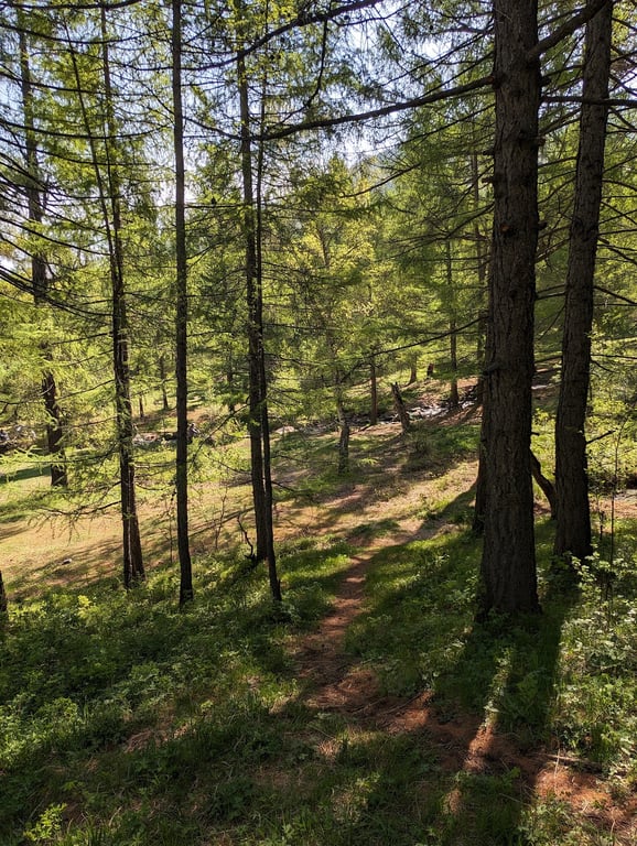 Gun-Galuut Nature Reserve