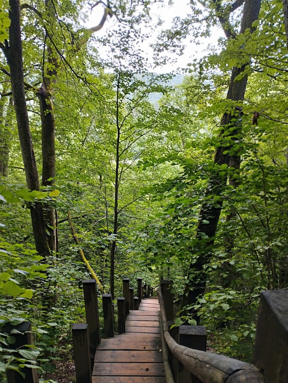Gutmanis Cave