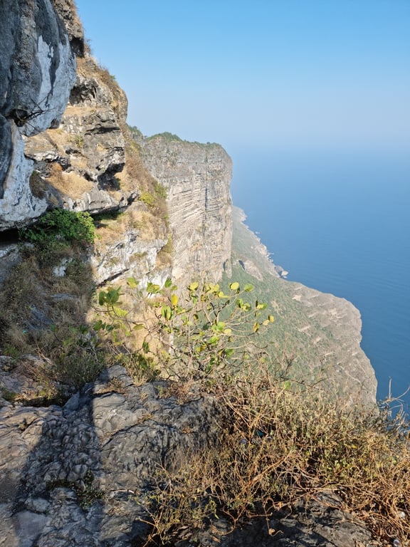 Shaat Viewpoint
