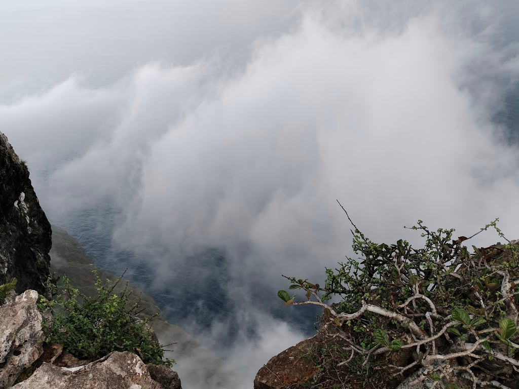 Shaat Viewpoint