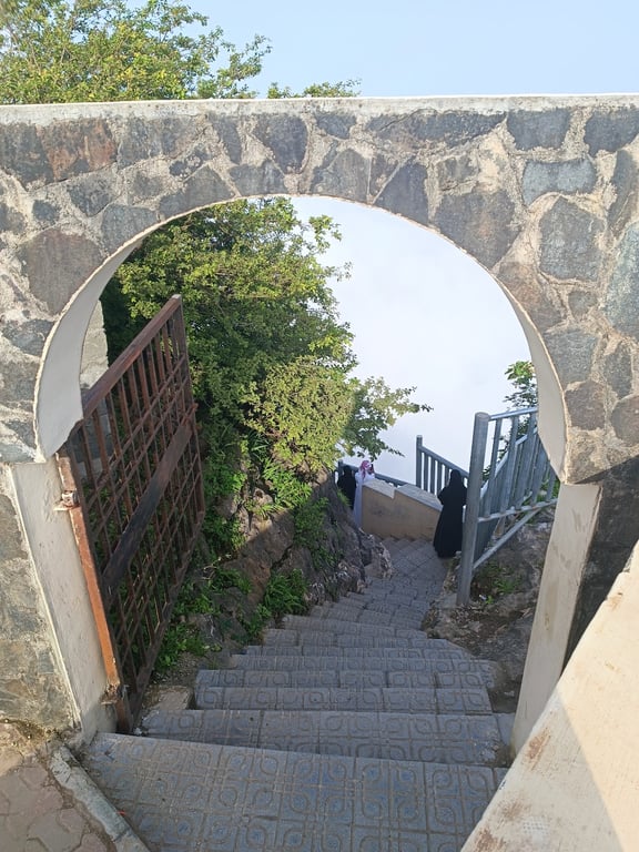Shaat Viewpoint