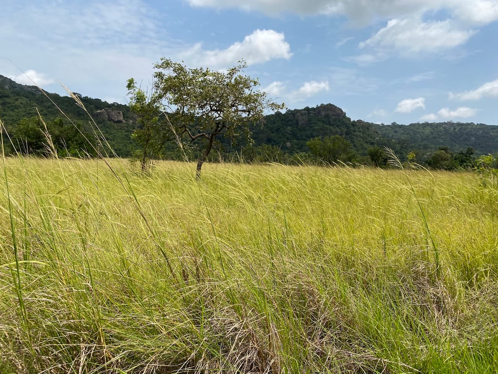 Shai Hills Resource Reserve