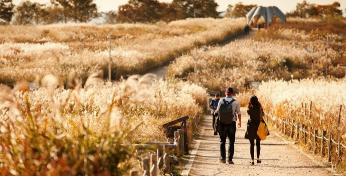 Haneul Park