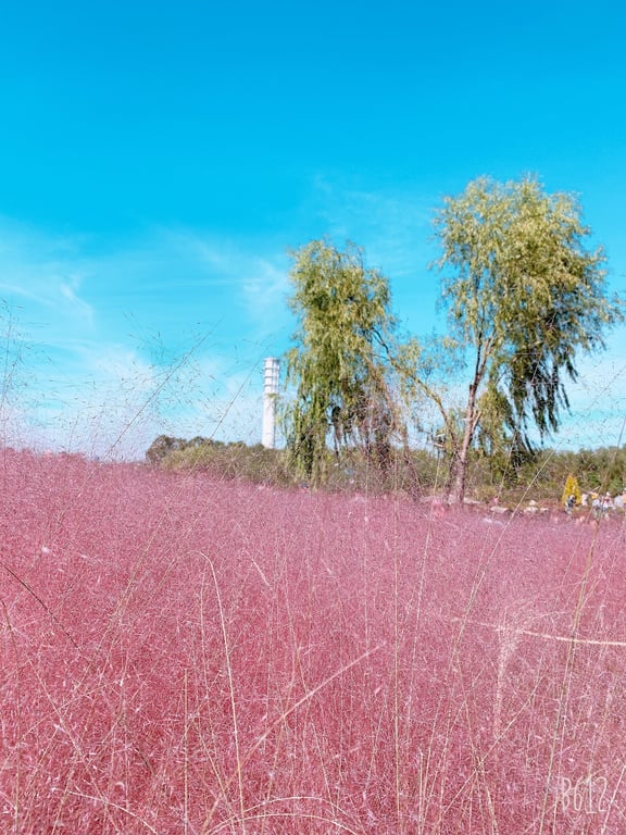Haneul Park
