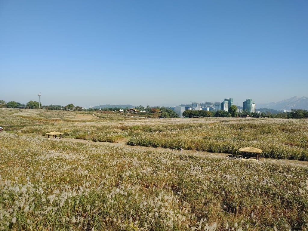 Haneul Park