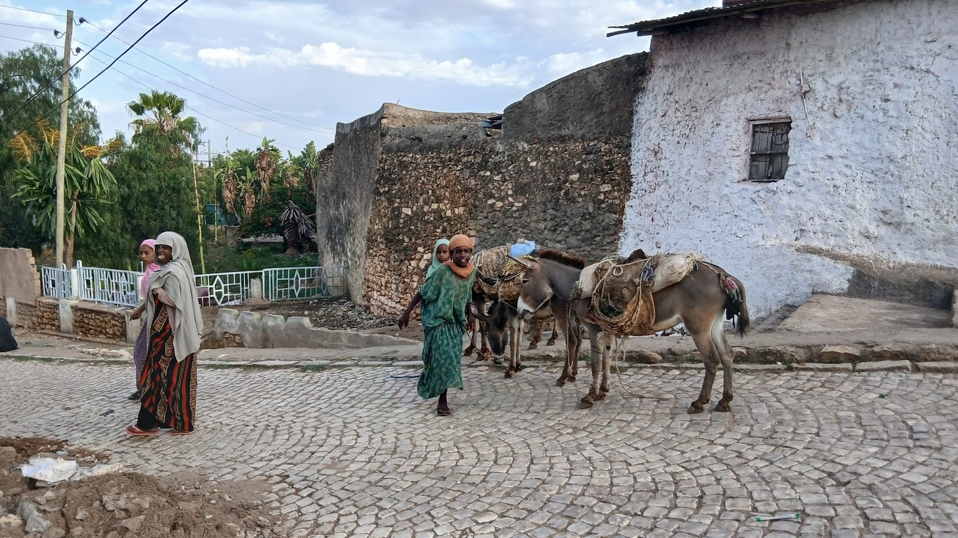 Harar Jugol Old City