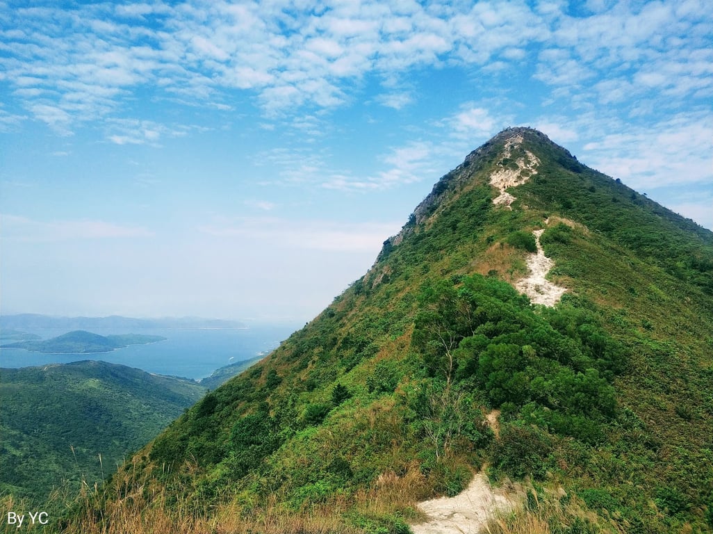 Sharp Peak