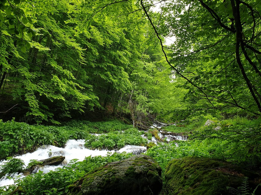 Sharr Mountains National Park