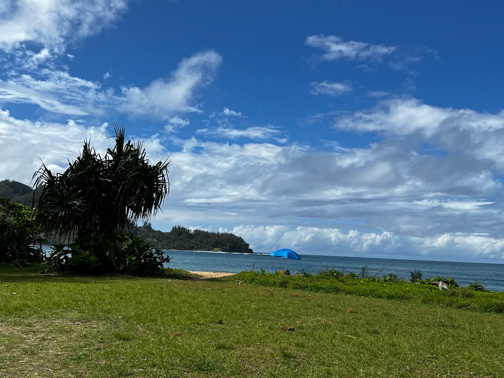 Hanalei Bay