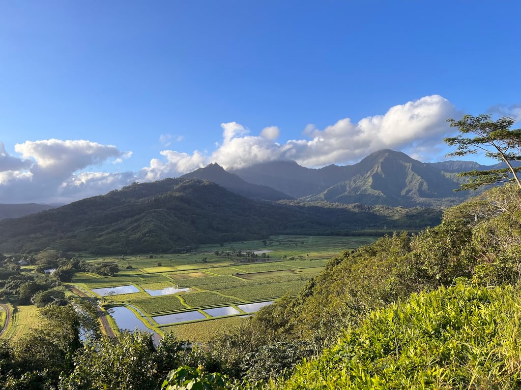 Hanalei Valley Lookout