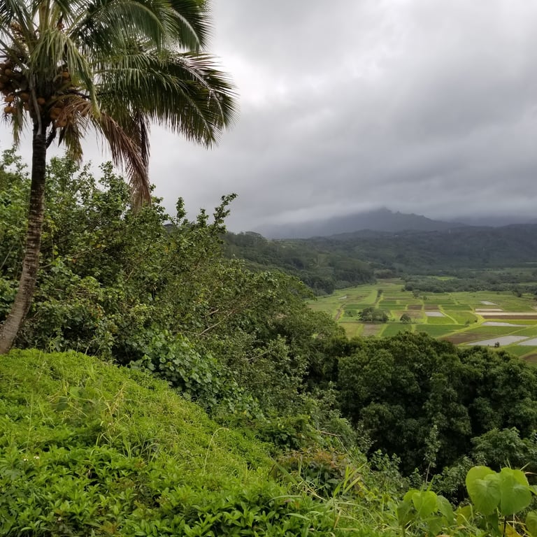 Hanalei Valley Lookout