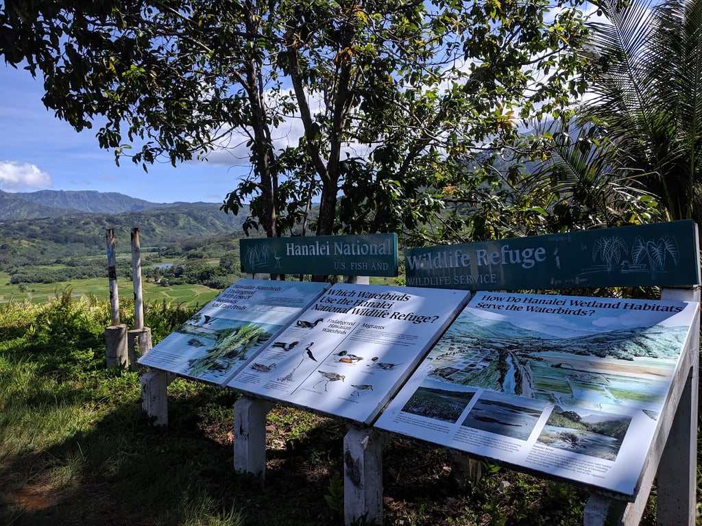 Hanalei Valley Lookout