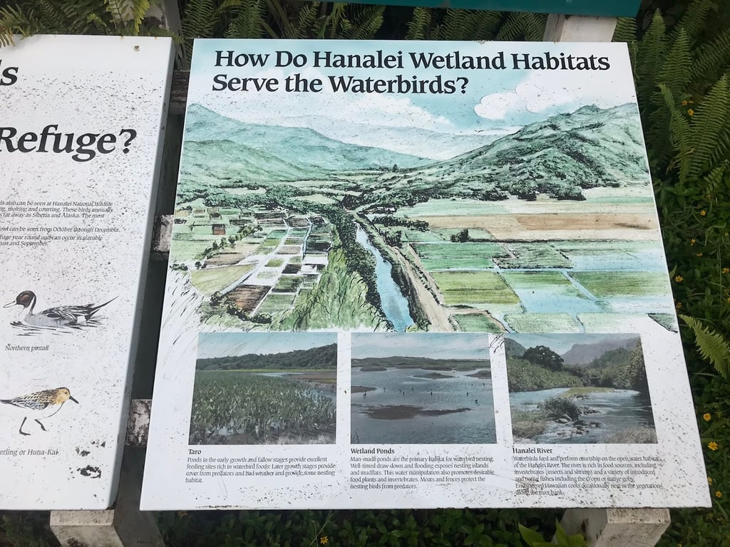 Hanalei Valley Lookout