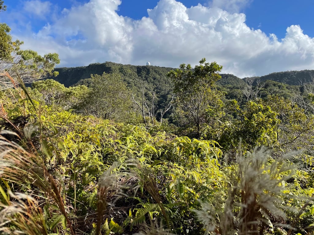 Kalalau Lookout