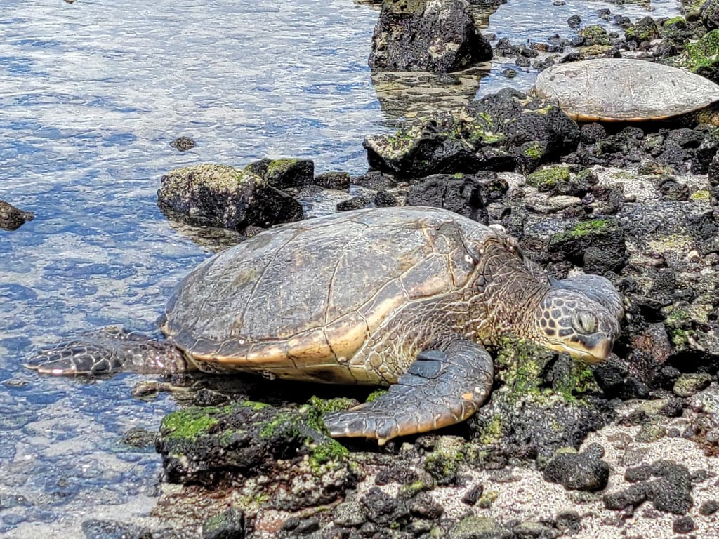 Kaloko-Honokohau National Historical Park