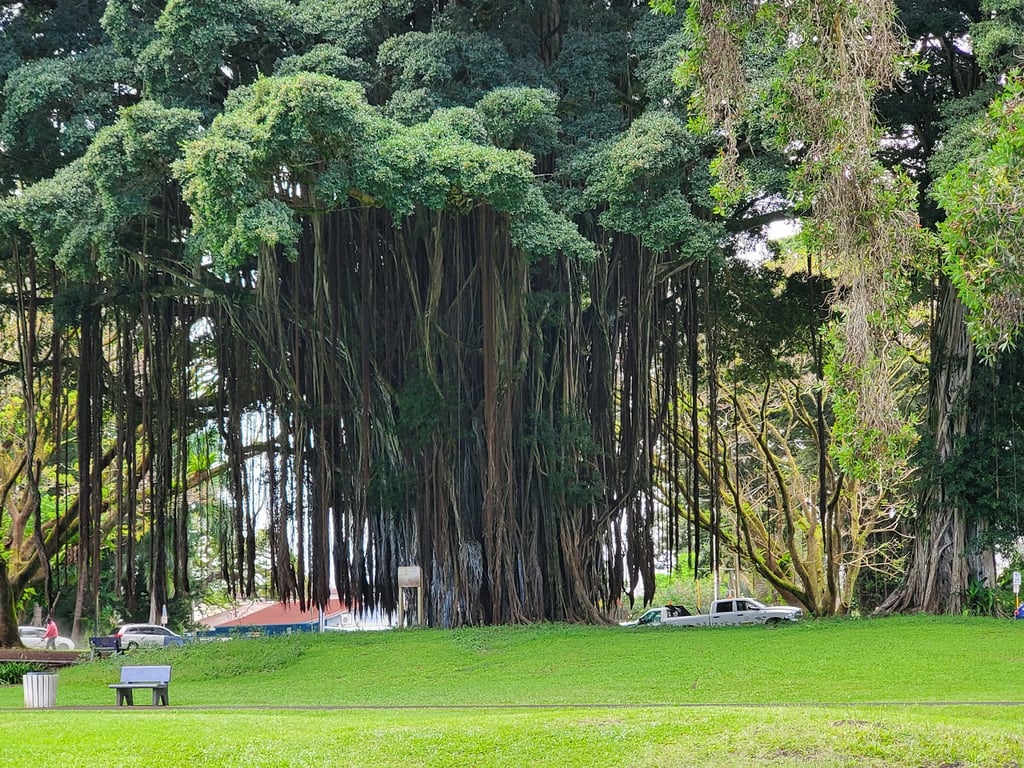 Liliuokalani Gardens