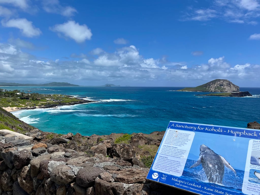 Makapu'u Point Lookout