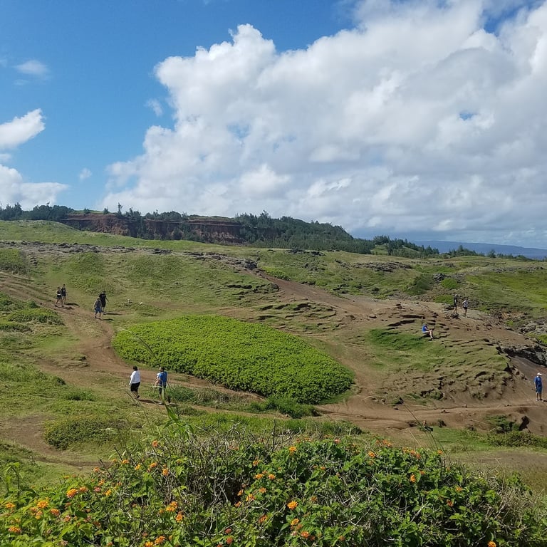 Nakalele Blowhole