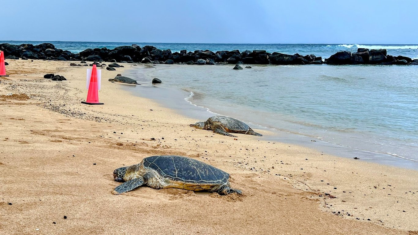 Poipu Beach