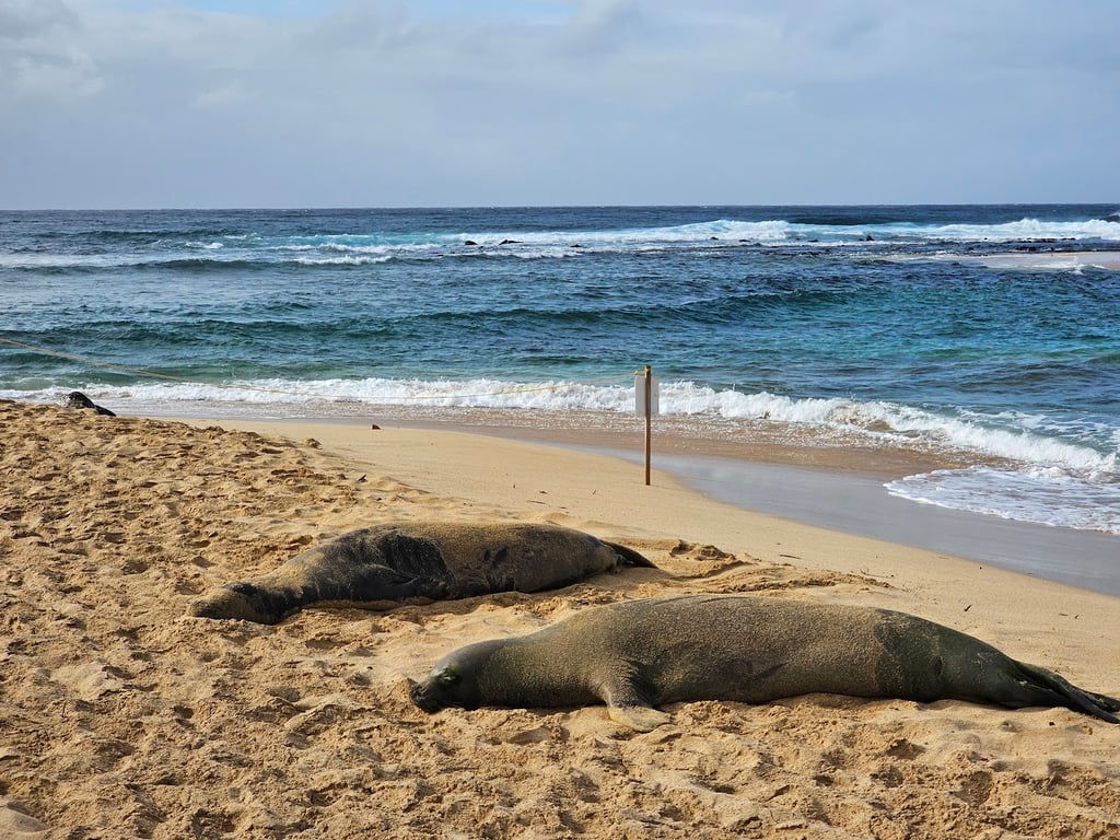 Poipu Beach