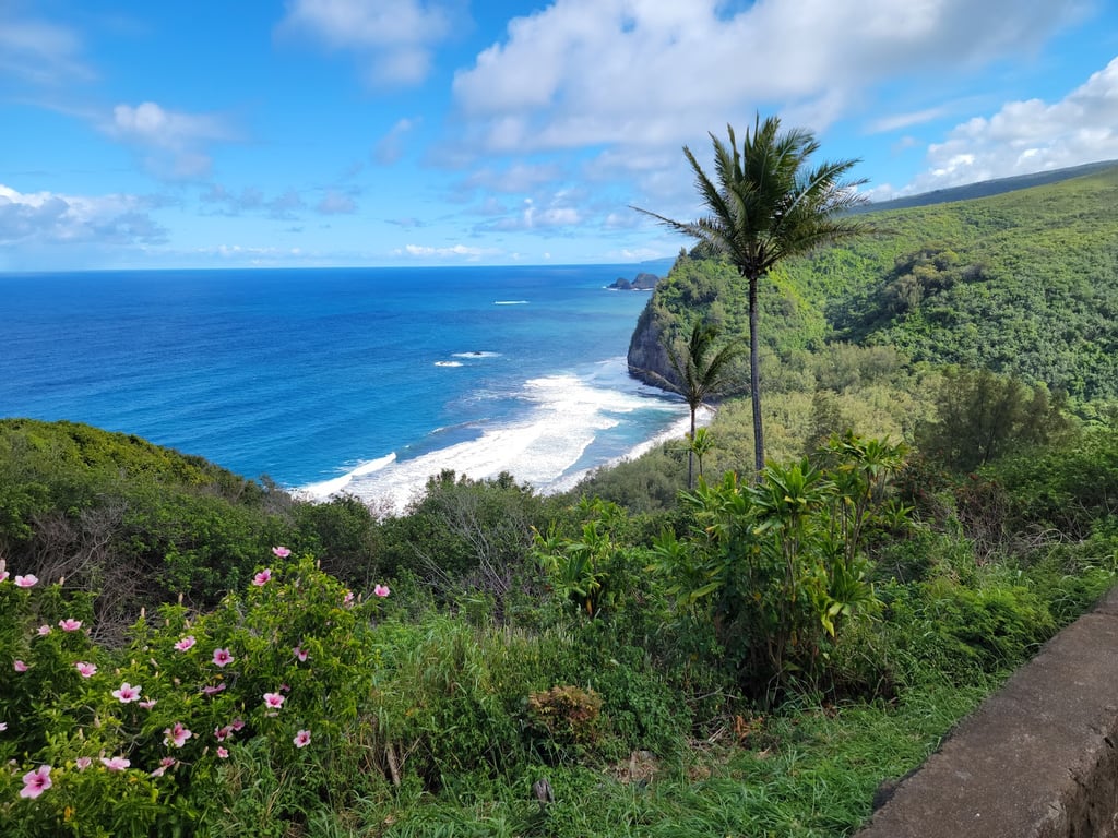 Pololu Valley Lookout