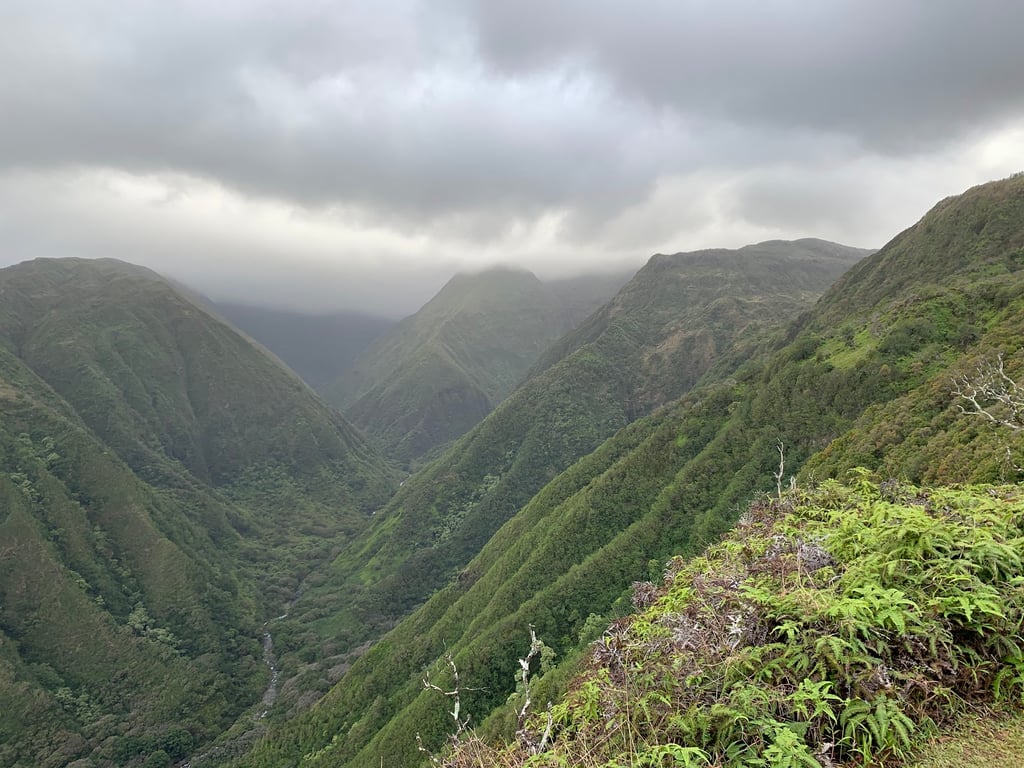 Waihee Ridge Trail View