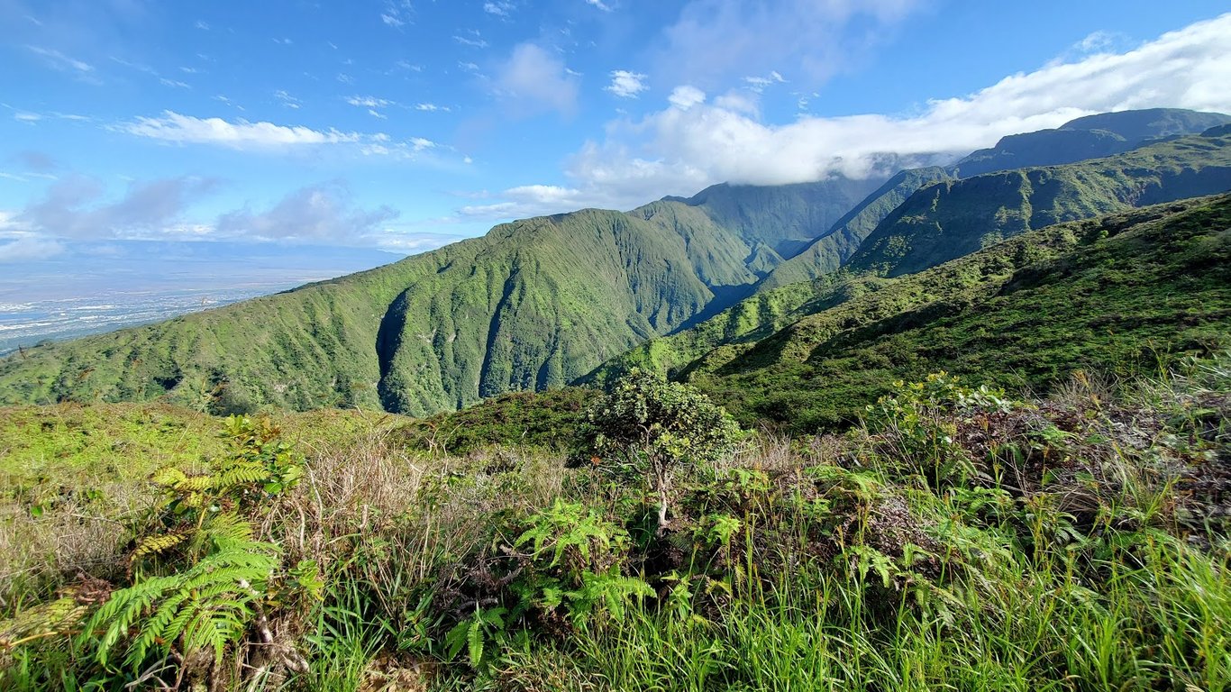 Waihee Ridge Trail View