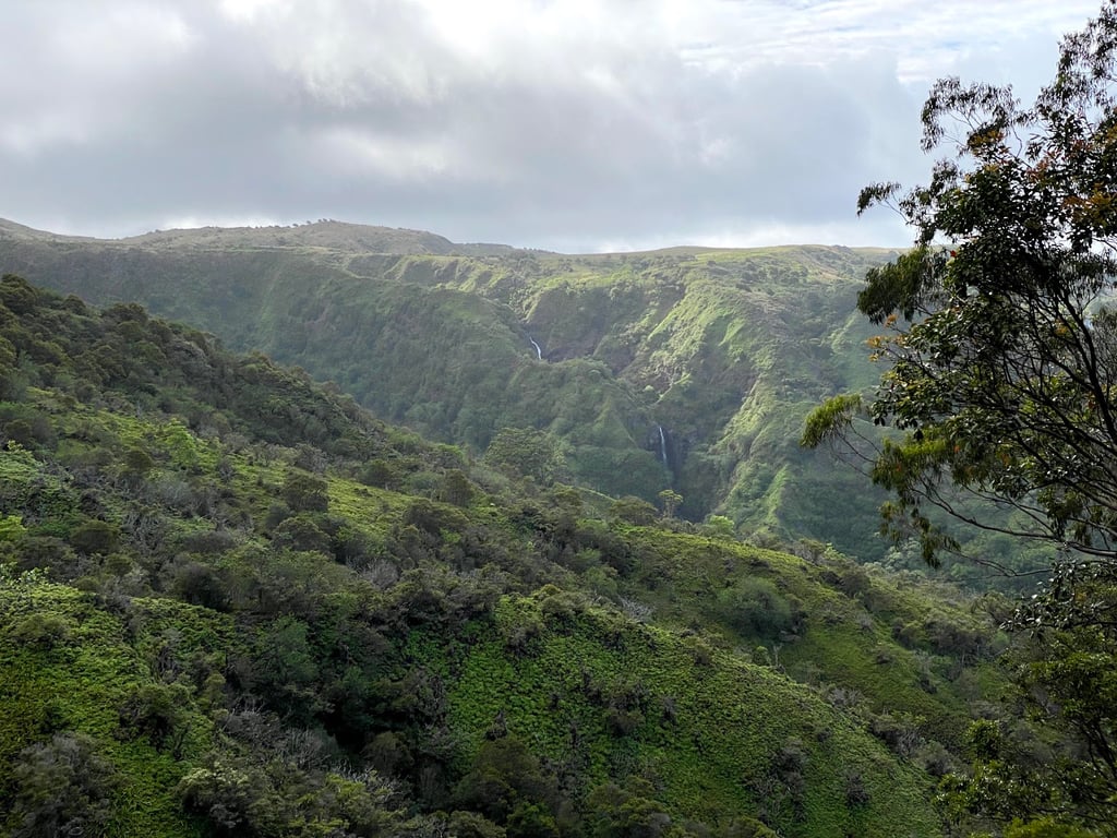 Waihee Ridge Trail View