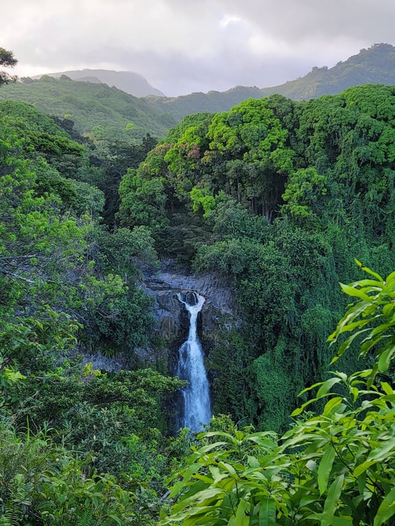 Waimoku Falls
