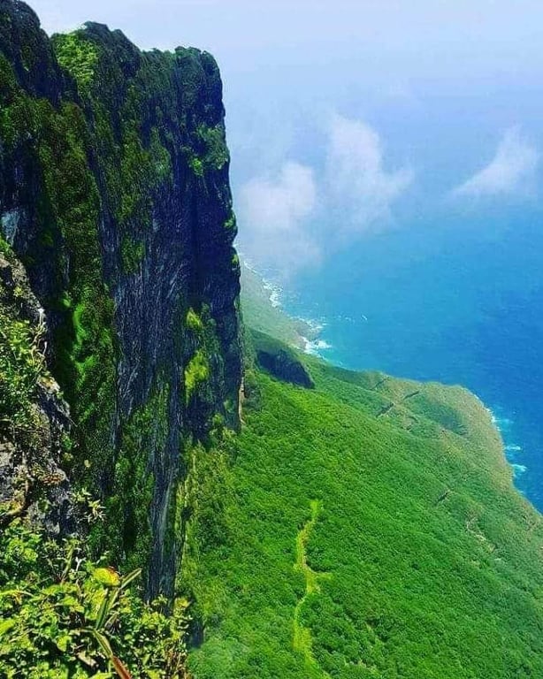 Hawf Forest