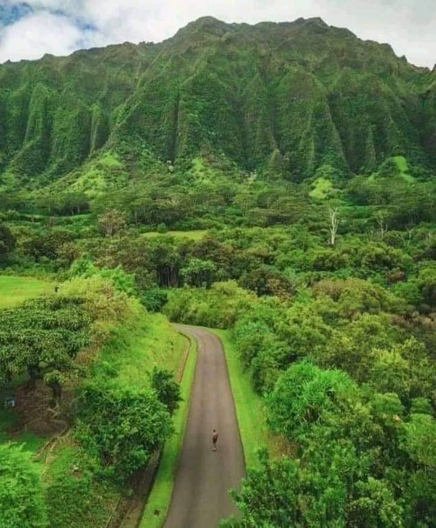 Hawf Forest
