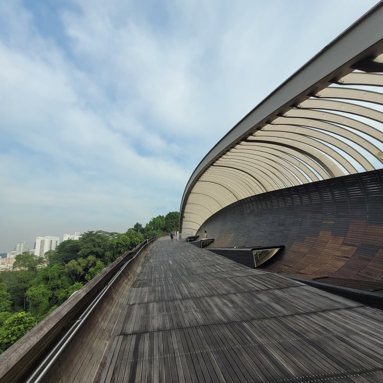 Henderson Waves Bridge