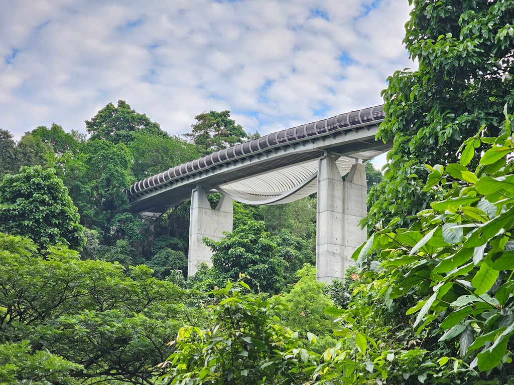 Henderson Waves Bridge