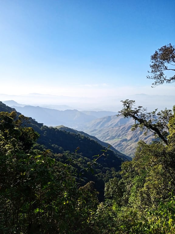 Henri Pittier National Park