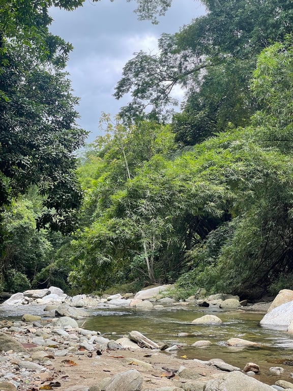 Henri Pittier National Park
