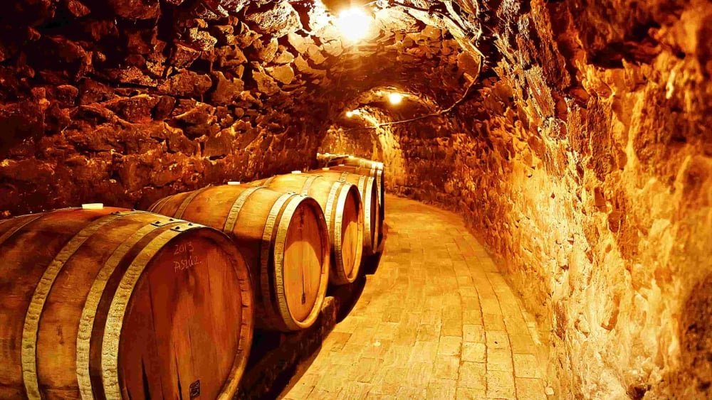 Hill-top Vineyards & Ruin Castle