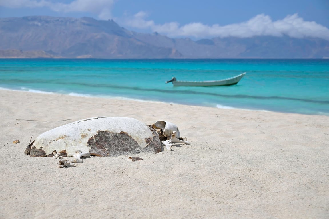 Shoab Beach