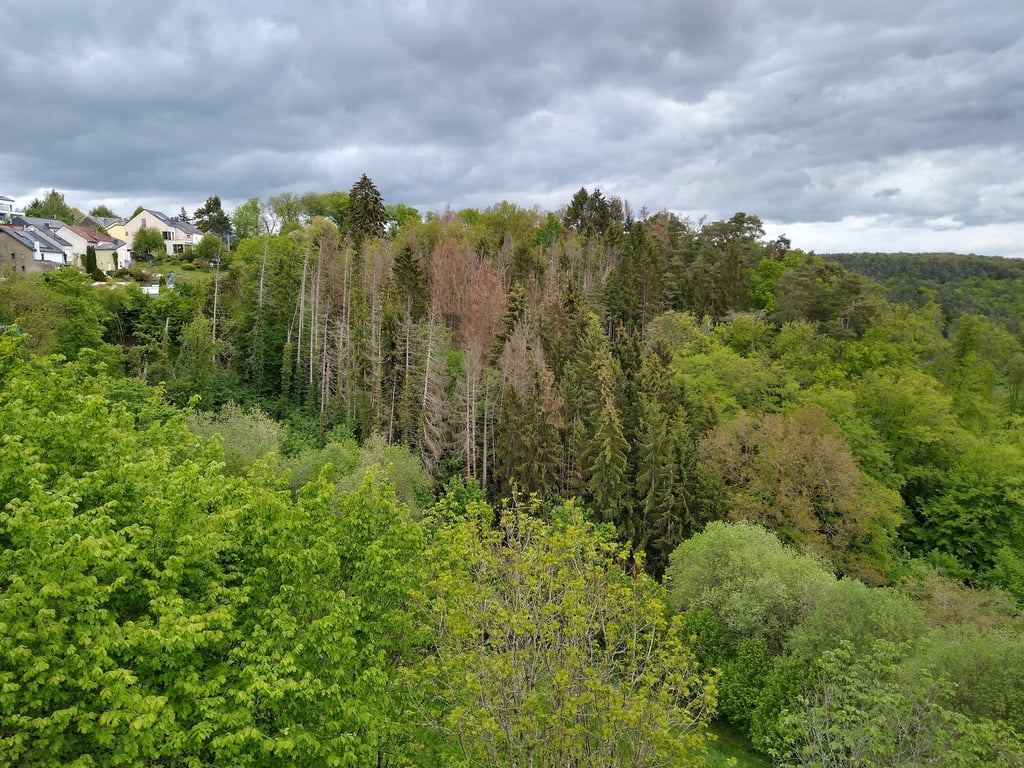 Hollenfels Castle