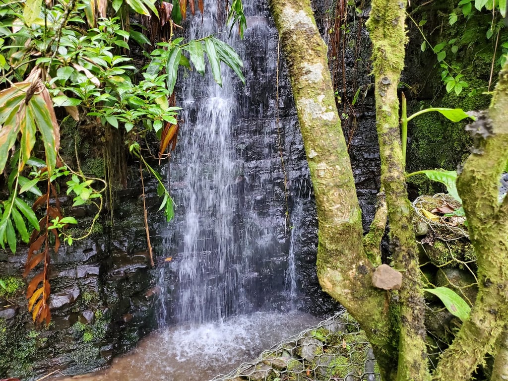 Holywell National Park