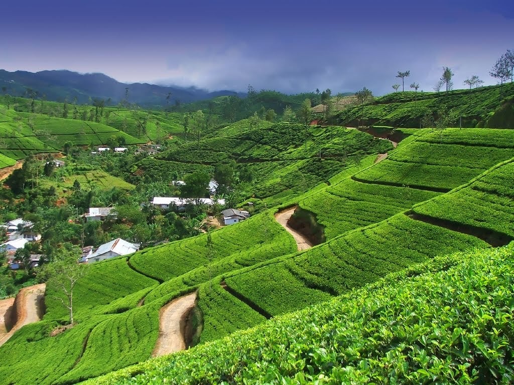 Honde Valley