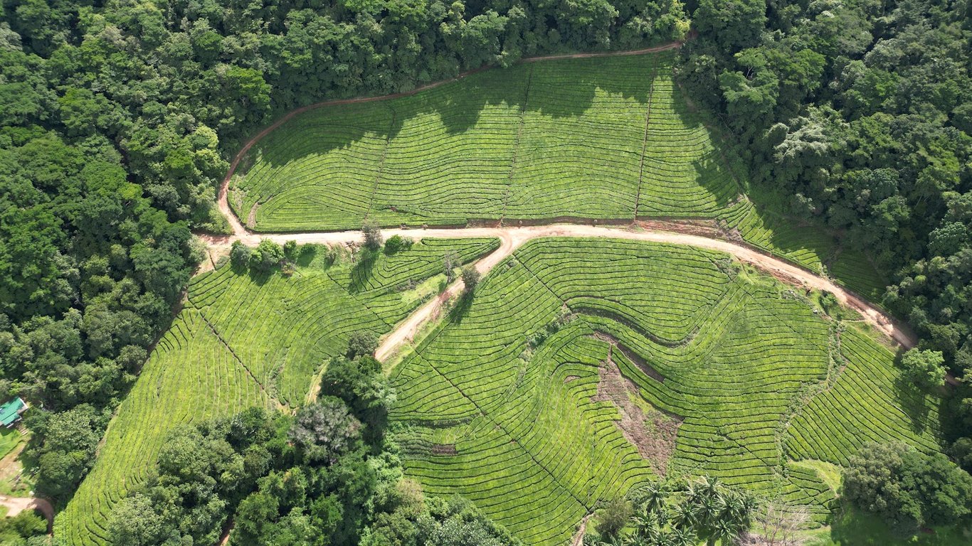 Honde Valley
