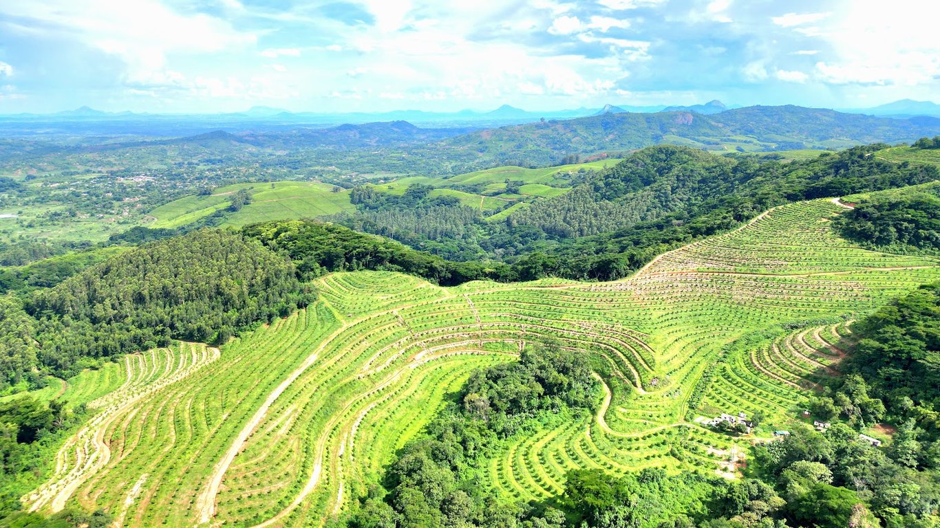 Honde Valley