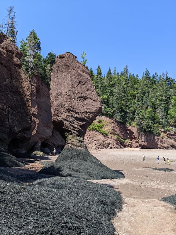 Hopewell Rocks