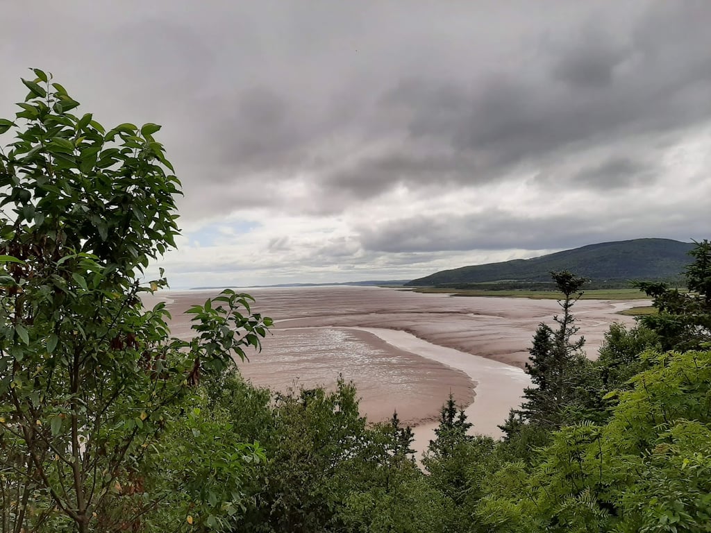 Hopewell Rocks