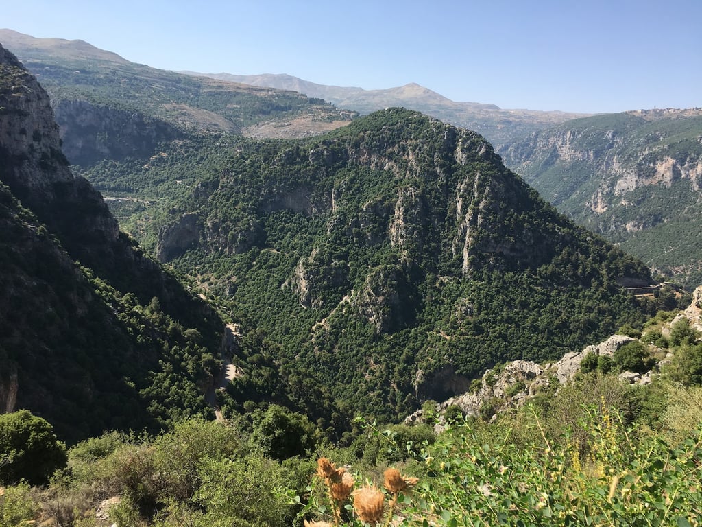 Horsh Ehden Reserve