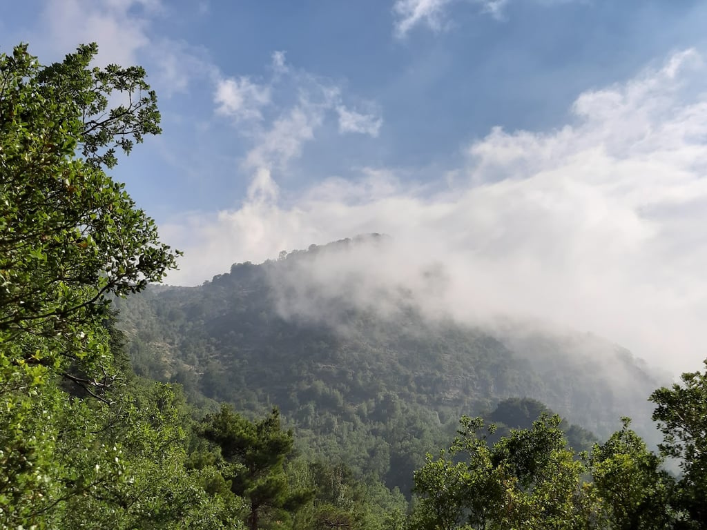 Horsh Ehden Reserve