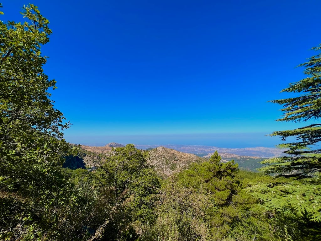 Horsh Ehden Reserve