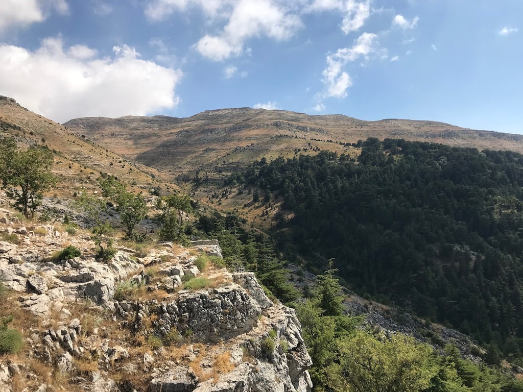 Horsh Ehden Reserve