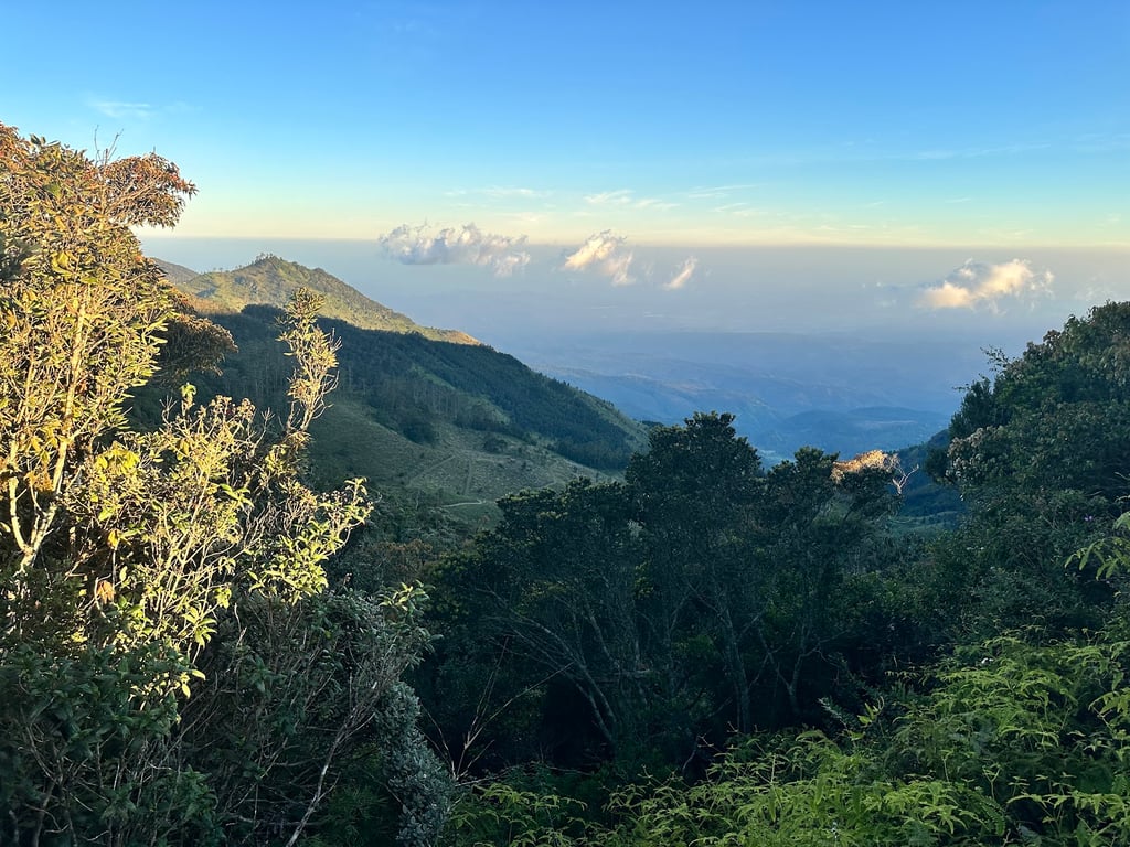 Horton Plains National Park
